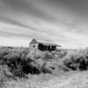 Meet your Posher, Hope